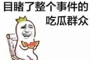 吃瓜群众副首领小说免费阅读,揭秘网络江湖风云录