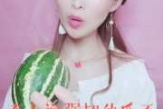 娱乐吃瓜酱可爱的司机