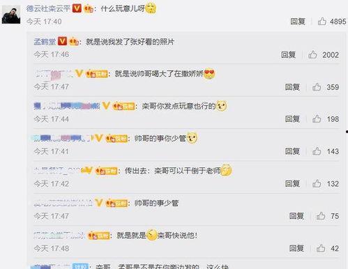 娱乐吃瓜酱评论区